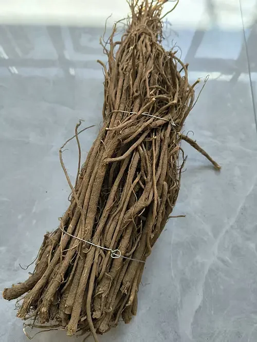 黄芪
