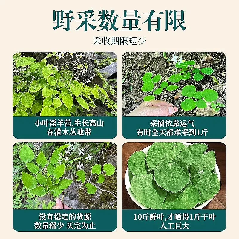 甘肃野生淫羊藿三枝九叶草