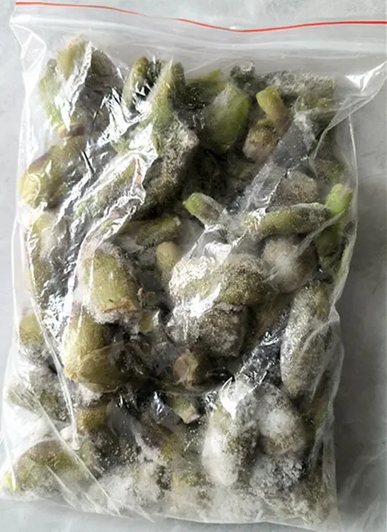 焯水速冻保鲜太子山优质乌龙头