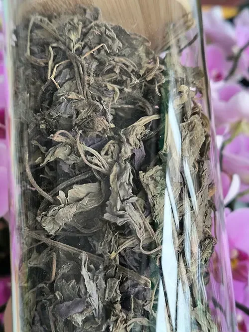 紫苏叶