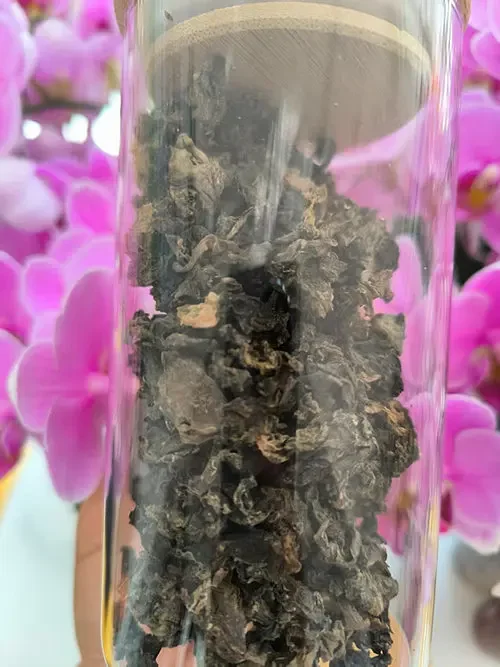 地木耳