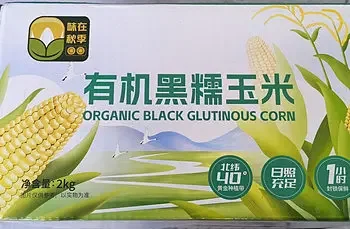 有机黑糯玉米